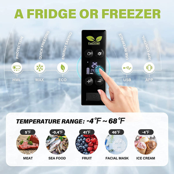 10 Quart (9L) Portable Car Freezer and Insulated Protective Cover Bag